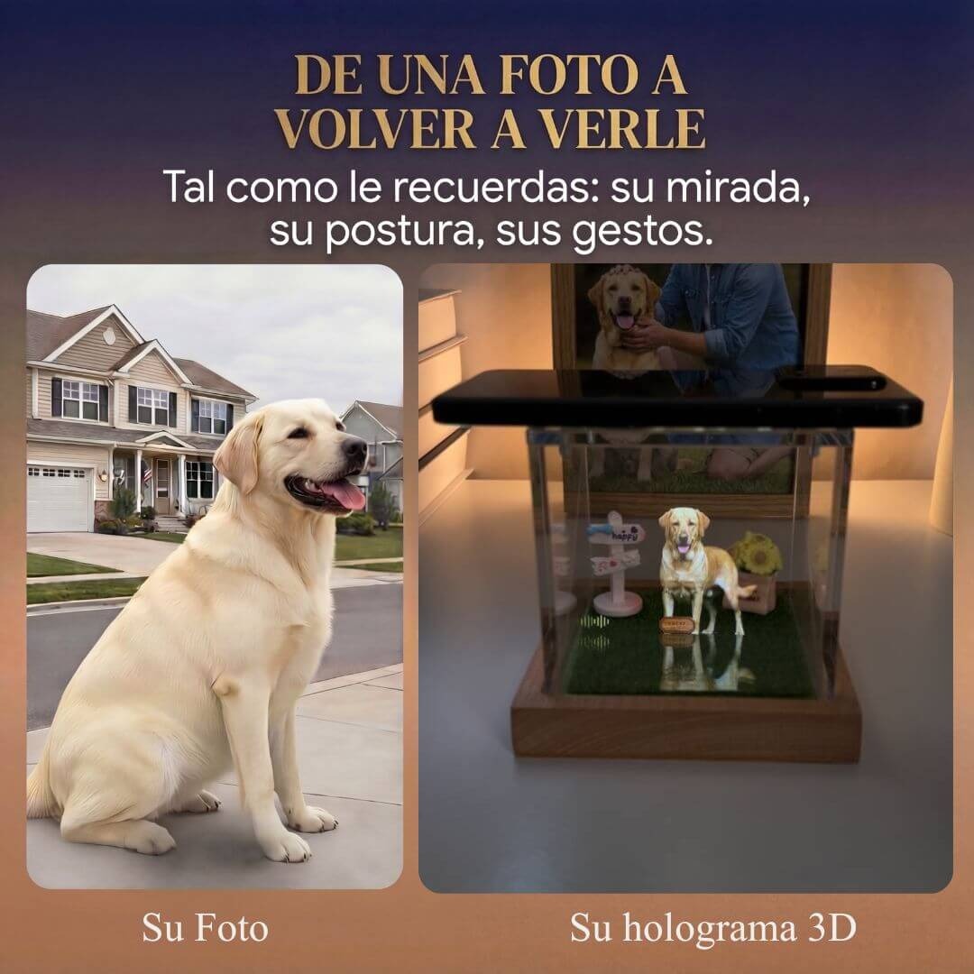 Recuerdo Holográfico Mascota