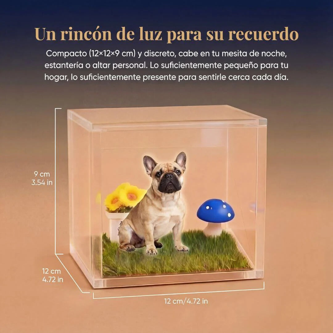 Recuerdo Holográfico Mascota